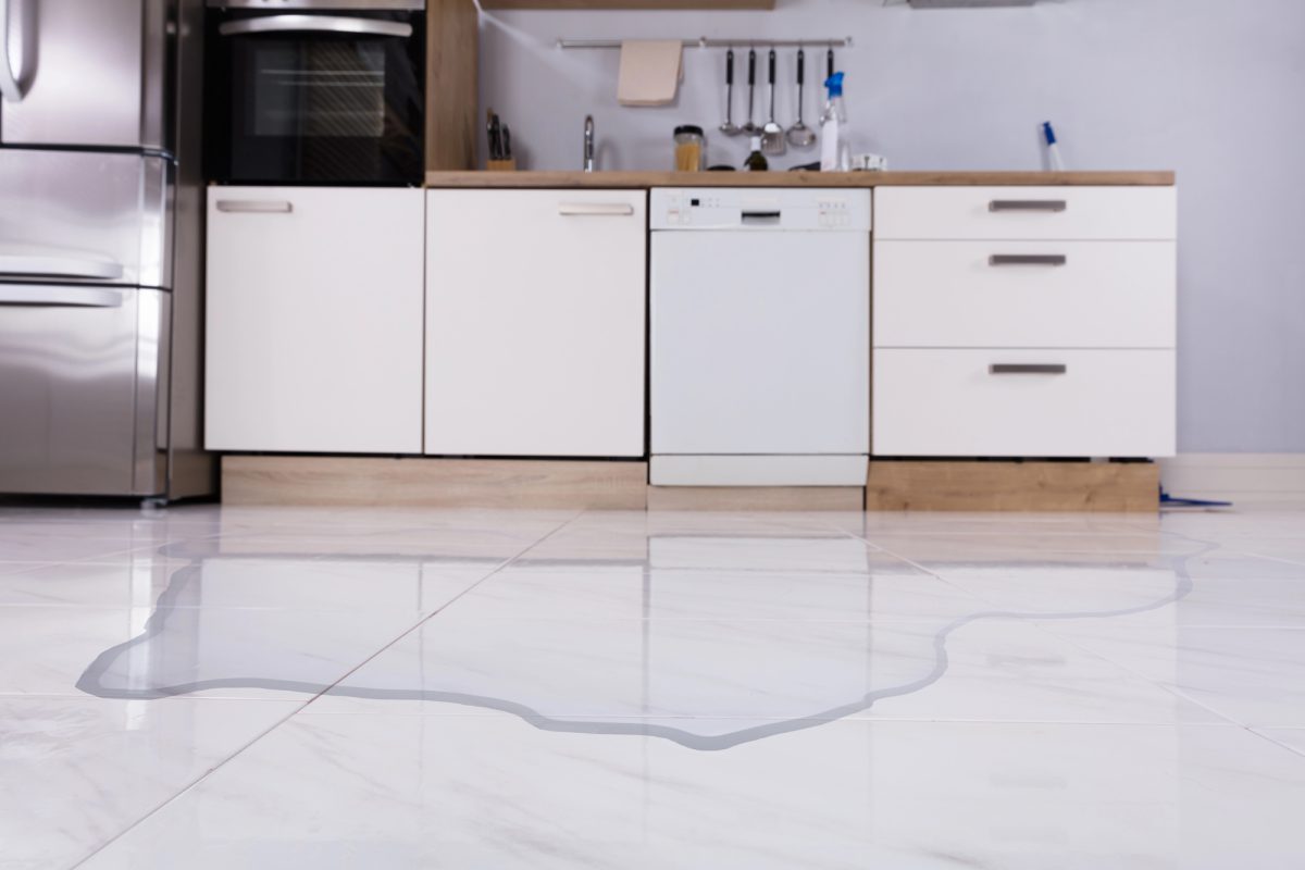 Misdiagnosing Dishwasher Issues: Common Repair Mistakes